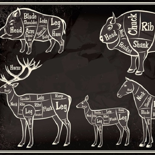 Exotic Meats